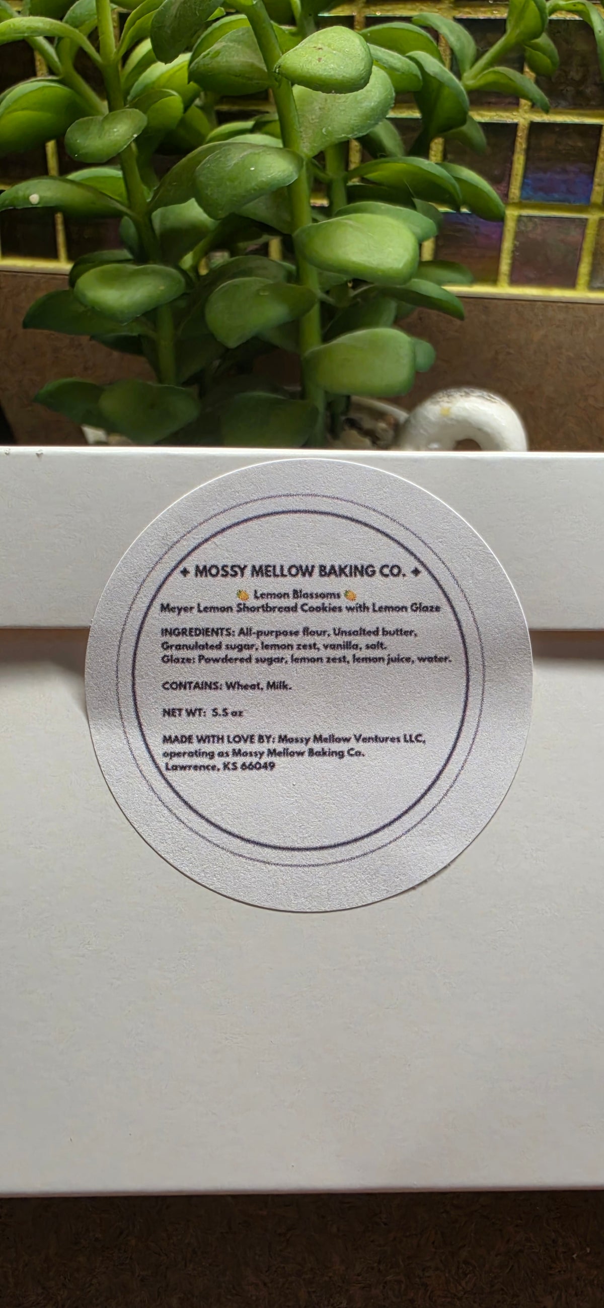 Mossy Sampler Pack