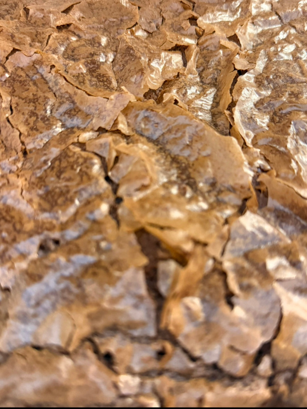 Basic Batch Brownies