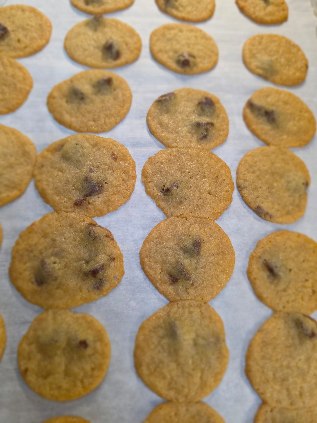 Nookies™-Chocolate Chip